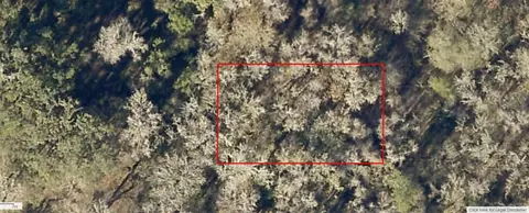 4214-174 SE 010 Se 41st Ter, Belleview, FL 34420