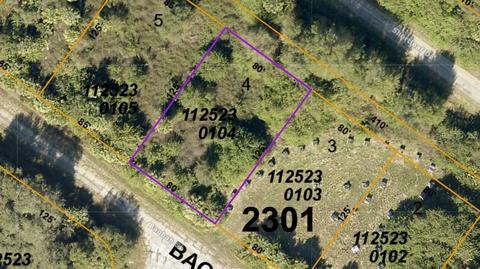 Baobab Street, North Port, FL 34288