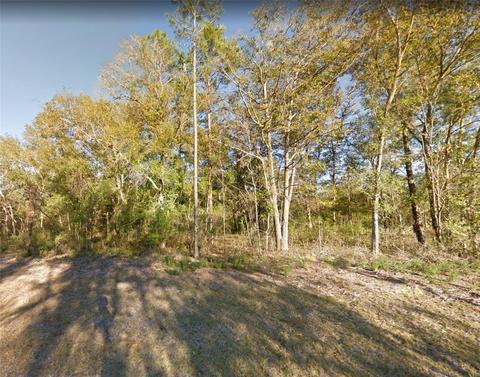 00 NE 83 Ln, Bronson, FL 32621