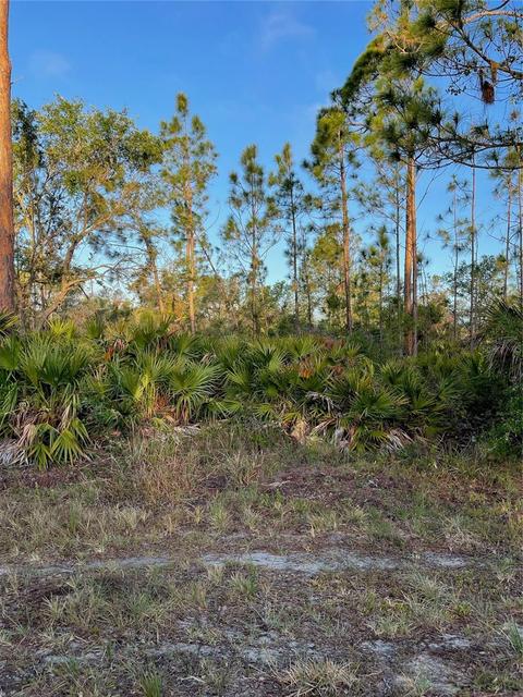 2485 Hilton St, Port Charlotte, FL 33948