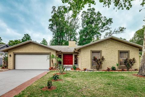 17723 Sunrise Dr, Lutz, FL 33549