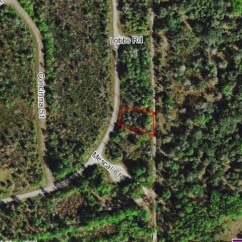 Fireglow Circle, North Port, FL 34288