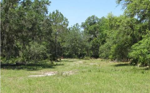 41117 20th Pl E, Myakka City, FL 34251