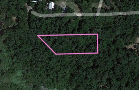 00 Tbd Ne 212th Ln, Fort Mc Coy, FL 32134