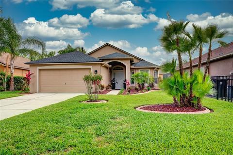 6006 Chellas Ct, Lutz, FL 33558 photo 1