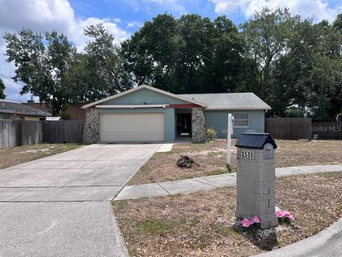 2551 Knoll St E, Palm Harbor, FL 34683