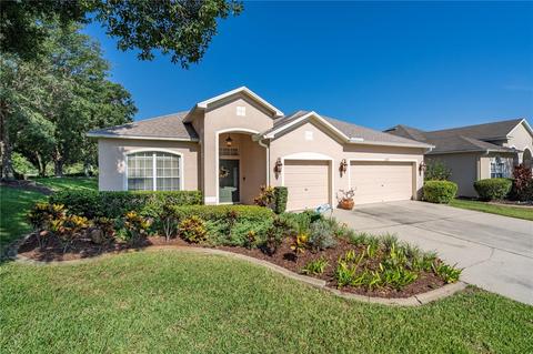 11727 Grove Arcade Dr, Riverview, FL 33569