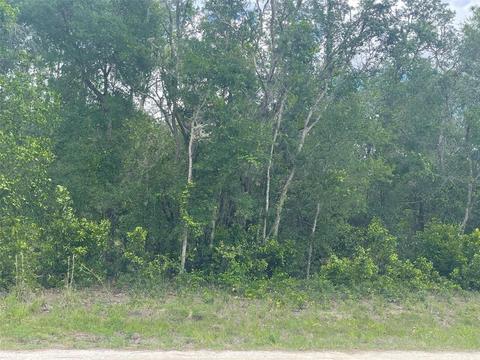 33237 Easter Dr, Webster, FL 33597