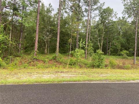 Tbd SE 114th Place, Dunnellon, FL 34431