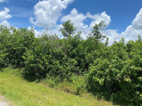 1189 March Dr, Port Charlotte, FL 33953