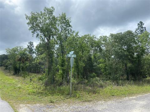 Lot 1 128th, Dunnellon, FL 34431