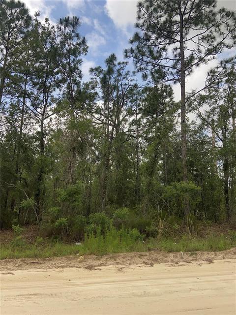 Tbd NE 12th Street, Williston, FL 32696