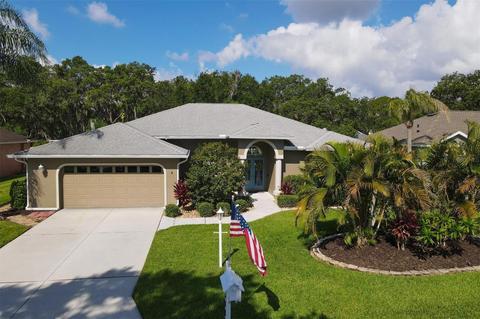 3403 River Woods Dr, Parrish, FL 34219