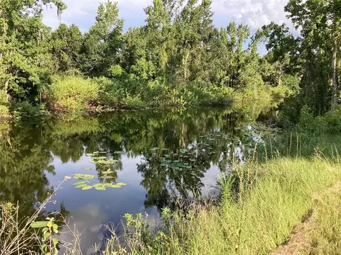 0 Alton Carlton Rd, Wauchula, FL 33873