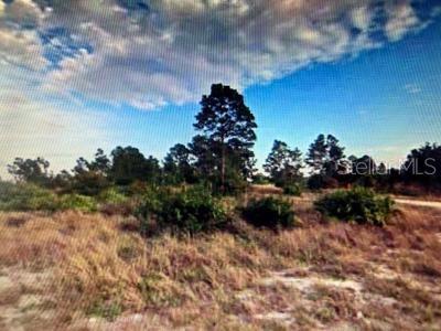 1511 Sally Ave S, Lehigh Acres, FL 33976