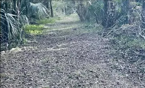 1640 Orange St, Oviedo, FL 32765