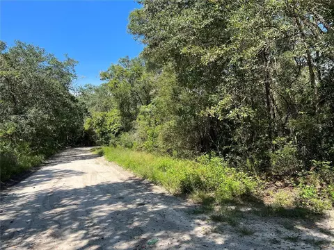 SW 83rd Court, Trenton, FL 32693
