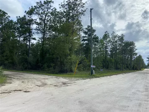 00 SE 20 St, Morriston, FL 32668