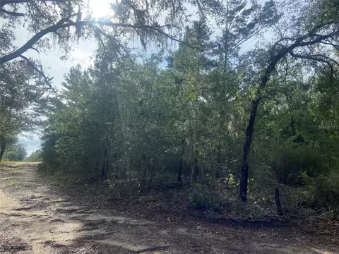 Tbd NE 116th Street, Bronson, FL 32621