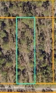 Lot 8 66th Lane, Dunnellon, FL 34431