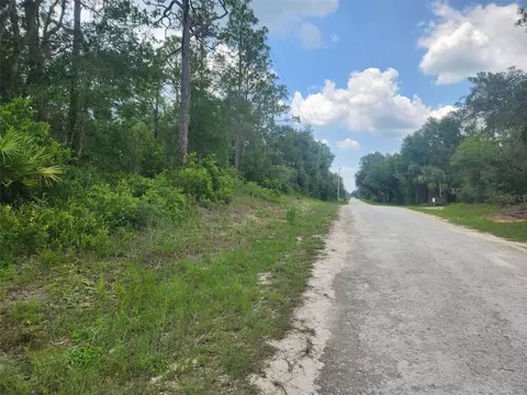 7387 Alloy St, Webster, FL 33597