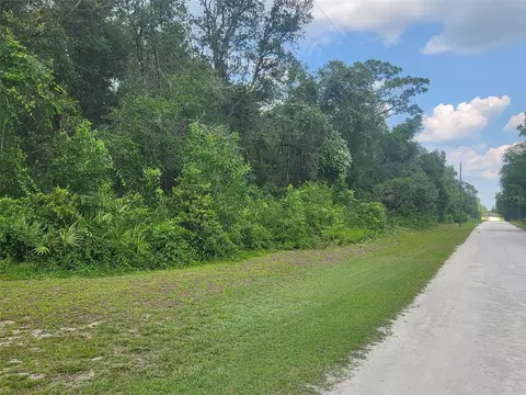 33063 Easter Dr, Webster, FL 33597