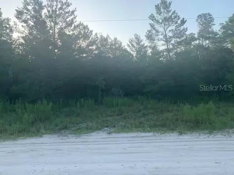 19 Northeast 139th Terrace, Williston, FL 32696