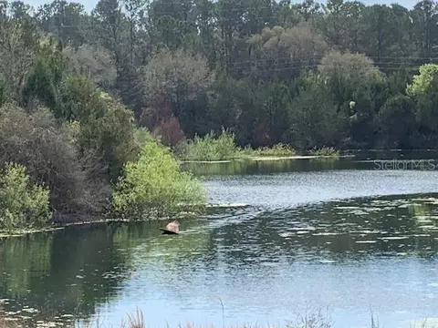 Deep Water Park, Williston, FL 32696