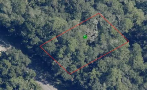 8766 N Pitcairn Way, Citrus Springs, FL 34434