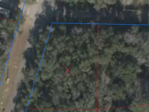 NE 155th Court, Williston, FL 32696