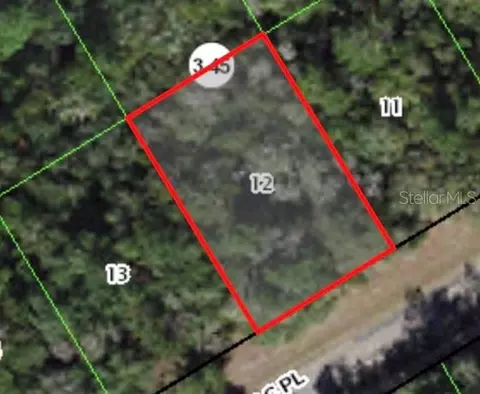 379 W Mac Pl, Citrus Springs, FL 34434