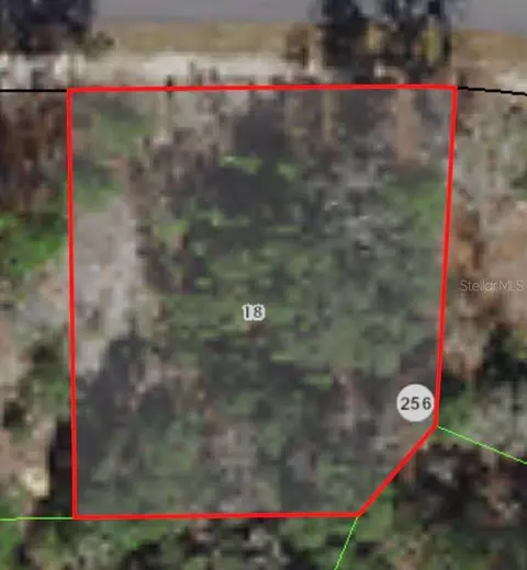 3198 W Montgomery Ln, Citrus Springs, FL 34433