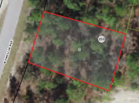 9819 N Emellia Ave, Citrus Springs, FL 34433