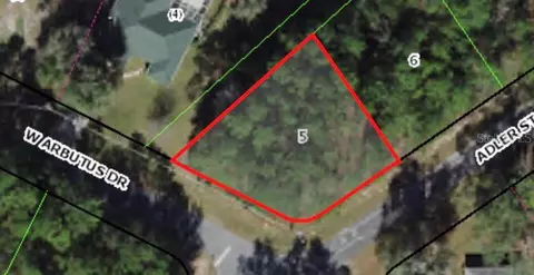 10420 N Adler Dr, Citrus Springs, FL 34434