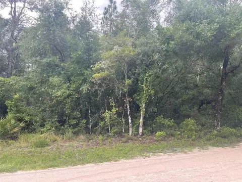 Lot 5 Easter Drive, Webster, FL 33597