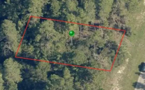 7720 N Elkcam Blvd, Citrus Springs, FL 34433