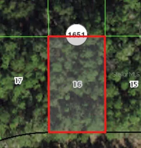 225 Enfield Ln, Citrus Springs, FL 34434