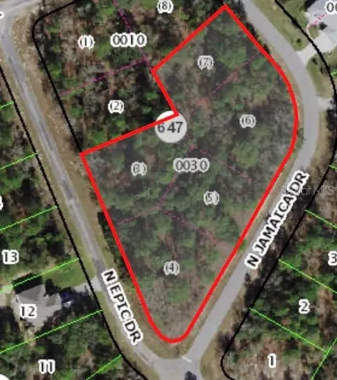 8021 N Epic Dr, Citrus Springs, FL 34433