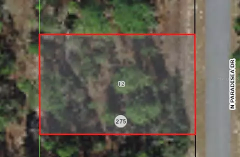 9800 N Paradisea Dr, Citrus Springs, FL 34433