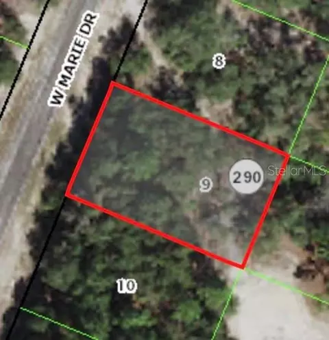 3050 W Marie Dr, Citrus Springs, FL 34433