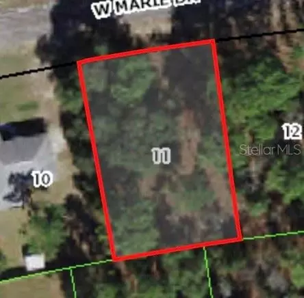 3226 W Marie Dr, Citrus Springs, FL 34433