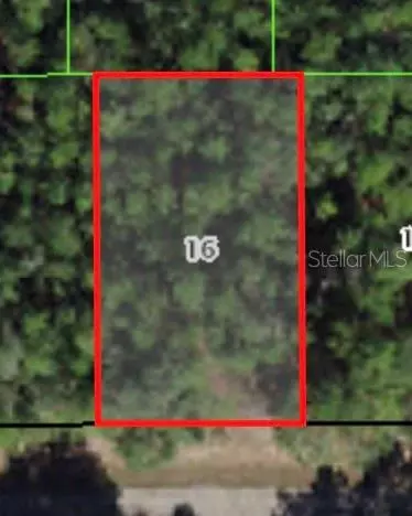 368 E Mc Faddin Pl, Citrus Springs, FL 34434