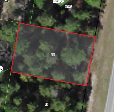 7748 N Elkcam Blvd, Citrus Springs, FL 34433