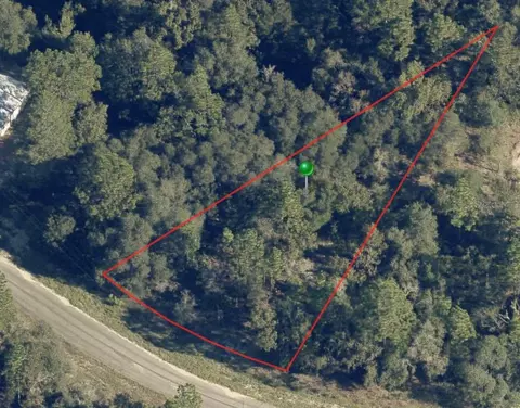 6956 N Lime Dr, Citrus Springs, FL 34433