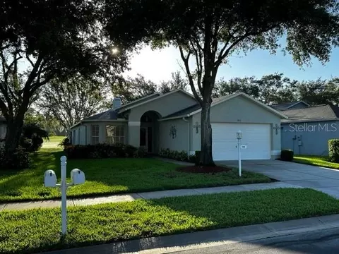 1412 Hickory Moss Pl, Trinity, FL 34655