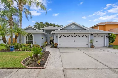 10025 Oasis Palm Dr, Tampa, FL 33615