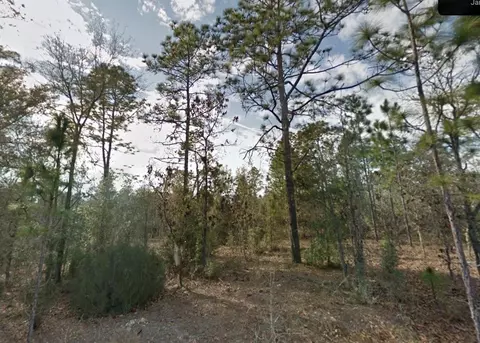0 NE 81st St, Bronson, FL 32621