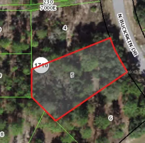 6664 N Buckskin Dr, Citrus Springs, FL 34434
