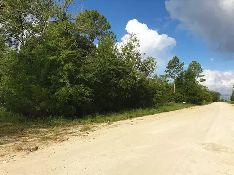 Tbd NE 63rd Place, Williston, FL 32696