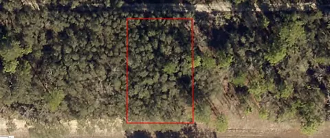 8009-1187 SW 35 Sw 150th Ln, Ocala, FL 34473